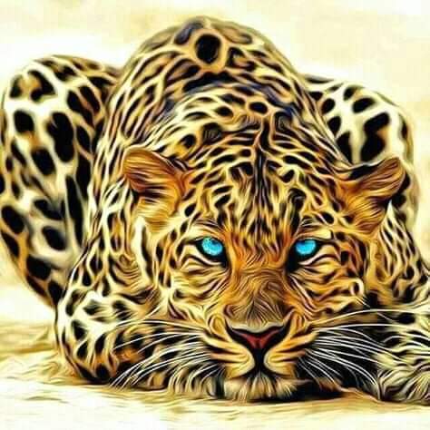 MbongoJack's tweet image. #NouvellePhotoDeProfil