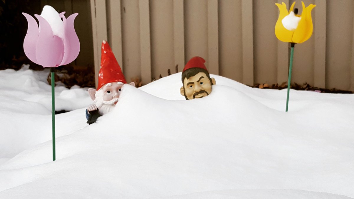 CultureSpc's tweet photo. Does work feel like a storm? You're not a gnome.

#culturespecialist #corporateculture #gnome #notagnome #stressmanagement #stressed #work #snow #snowstorm https://t.co/4kzaMqU4Gf