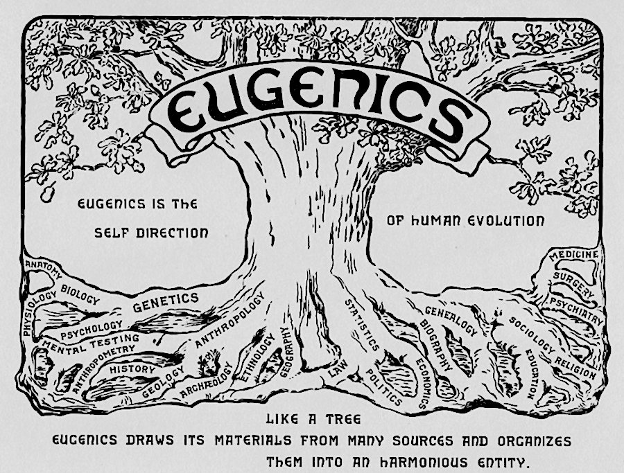 Eugenics Is A Set Of Beliefs And Practices That Aims At Improving The Genetic Quality Of A Human Population By Excluding, Through A Variety Of Morally Criticized Means, Certain Genetic Groups Judged To Be Less Desirable And Promoting Other Genetic Groups Judged To Be Superior.
