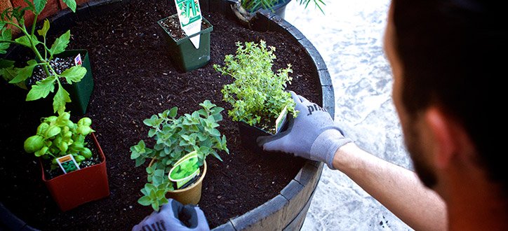 PlantCalifornia's tweet photo. Even if you just have a very small patio, you can grow your very own vegetable garden and reap the benefits!
•
Plant your own small space vegetable garden here: https://t.co/ajuqqhePeN https://t.co/jg9SaWT8gh