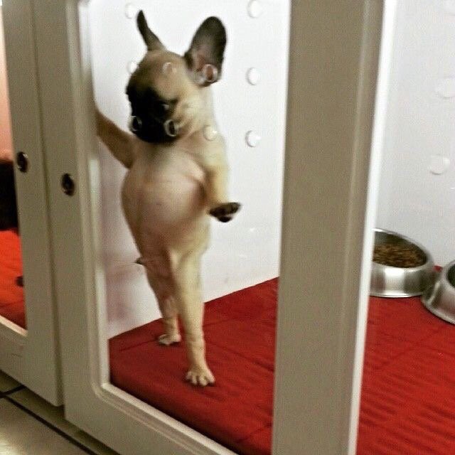 chrisvpalmer's tweet photo. Why hello there, hot stuff? Liking what you see? https://t.co/jTWAIxGojT