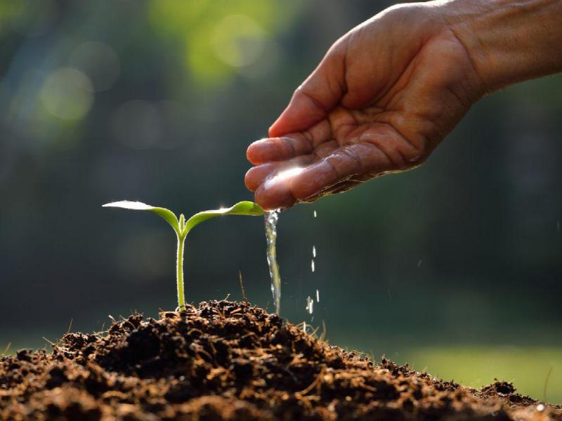 ConHumAnimal's tweet photo. “Si supiera que en el mundo se acaba mañana, yo, hoy todavía plantaría un árbol."

#MartinLutherKingJr

#MartinLutherKingJrDay 
#MLKDay
#MLK2019 https://t.co/4OmvyrneHG