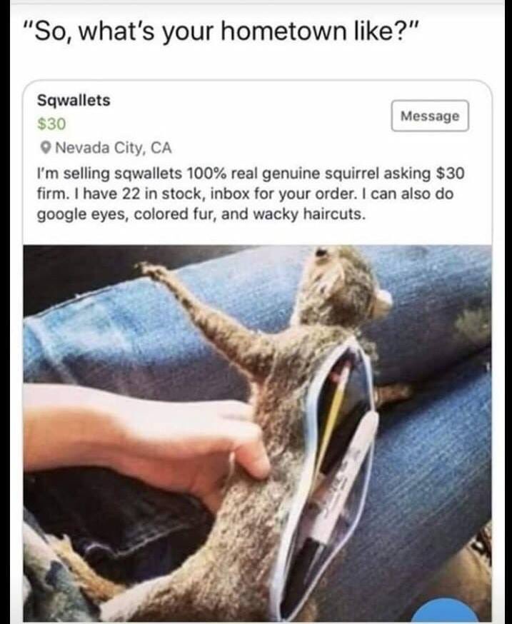 SaskProbz's tweet photo. I truly cannot get over the word “sqwallet” https://t.co/8EqrovL5os