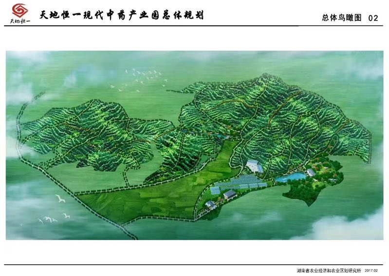 Hinye5's tweet image. Today, I  accompanied the industry chain experts in Hunan Agricultural University, Provincial Botanical Garden and Hunan Traditional Chinese Medicine Hospital to visit our industry base. We watched and guided the selection of seedlings, seedlings, and trials.