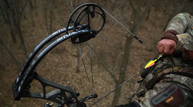 ScottArchery's tweet photo. Draw with confidence. 

📸 Respect The Game TV
scottarchery #scottreleases #archery #targetarchery #bowhunting https://t.co/LqL33hdawQ