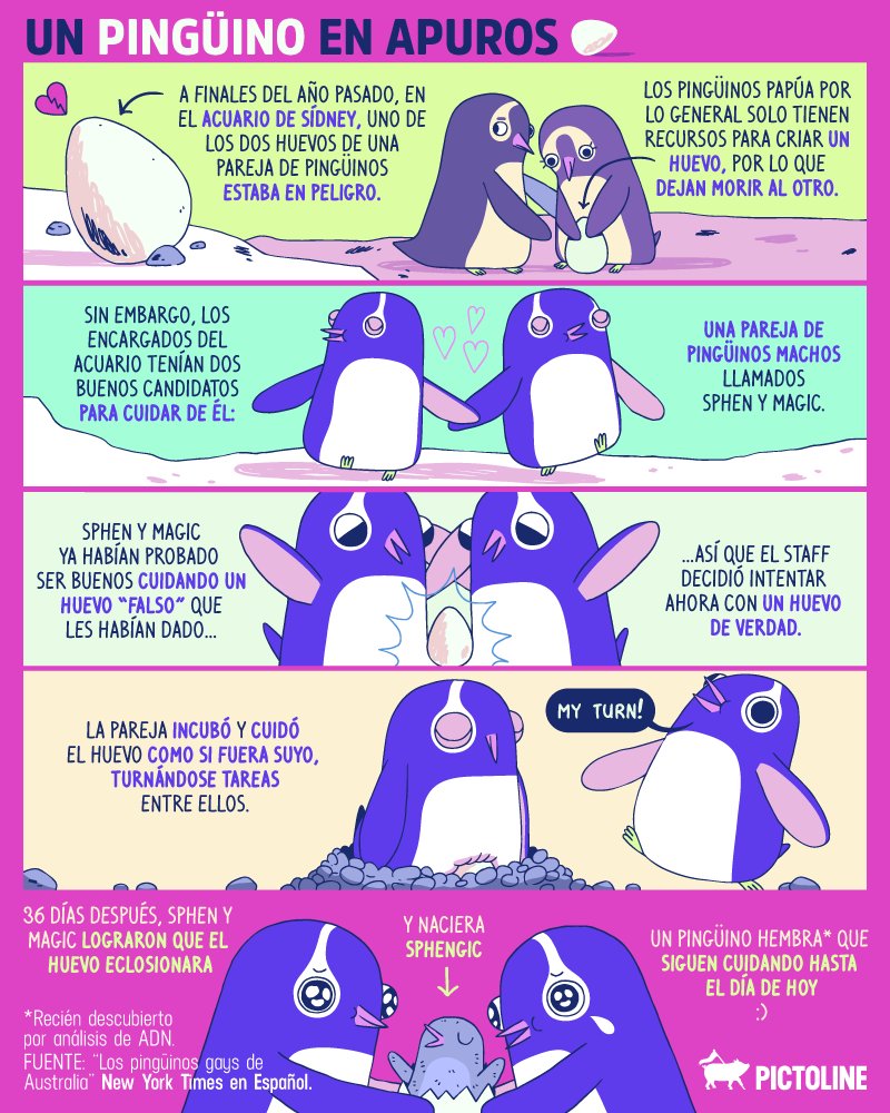 🥚🐧🐧😍
