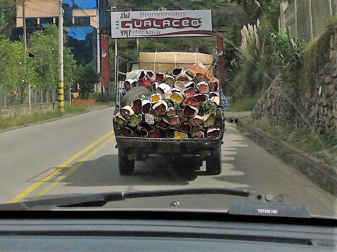 SchofieldRoger's tweet image. Just another flower delivery in Ecuador. The best roses and flowers in the world.....