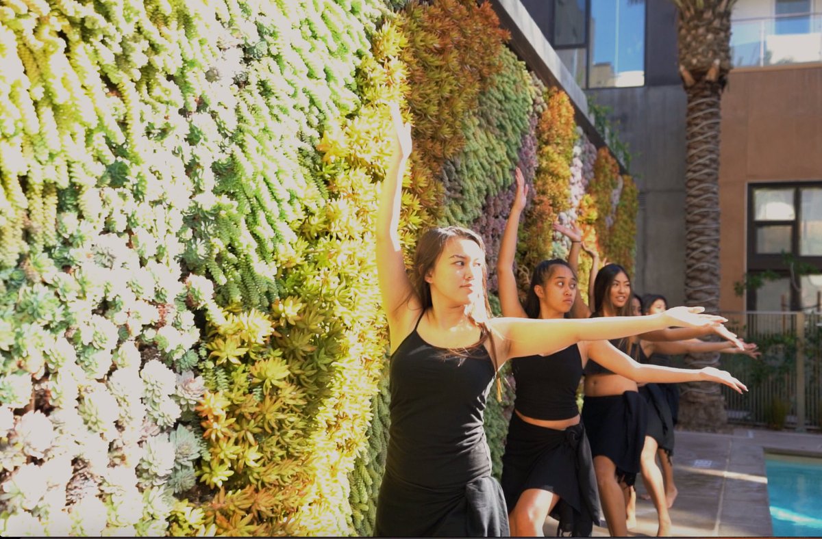 After this week, you're gonna need a vacation 😎🏝🌺 Join Campus REC for our Welcome Back Luau! Wear your best Hawaiian attire and enjoy food, music, and entertainment!
🗓>> Jan 25
⏰>> 8-11pm
📍>> USU Ballroom
Save your spot here! cougaraccess.csusm.edu/Course/Search.…