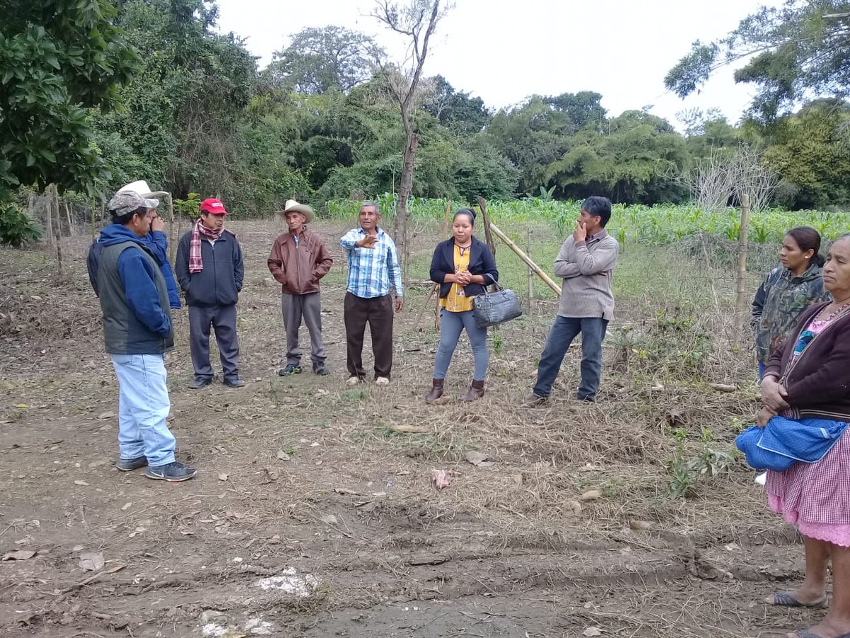 fannycer432's tweet photo. Vinculación a productores de naranja de Achichipil,Huejutla de la cooperativa Mazehualxochitl S.C de R.L de C.V de Ahuatitla, San Felipe, con la finalidad de comercialización justo. #ExtensionismoHidalgo #SubSria_DesarrolloRural @Car_Muniz @ecarizpe @EduardoVM19 @jvfalcon2 https://t.co/xLHMqlujGt