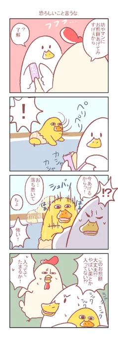 先日お煎餅デビューした坊やマンがなんかすごいです。#鶏さんの絵日記 