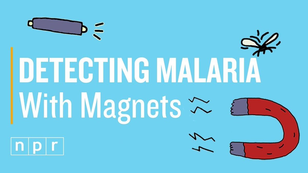 ProfArmani's tweet image. Introducing the cartoon versions of @SamMcBirney and me while we talk about our malaria work. Thanks @NPR and @joesbigidea! Link: buff.ly/2FBajYP