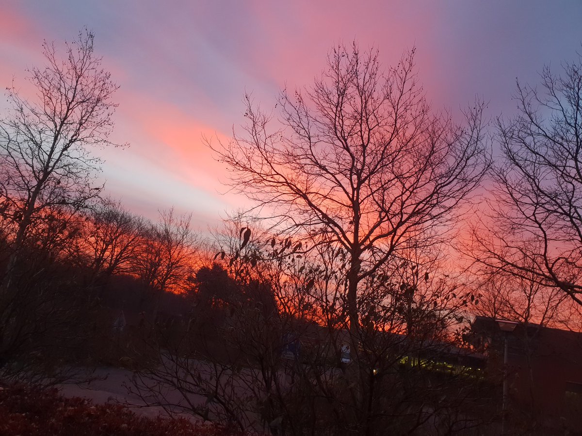 donkie85's tweet photo. Good morning #noggeensneeuw https://t.co/EupWLbZzU0