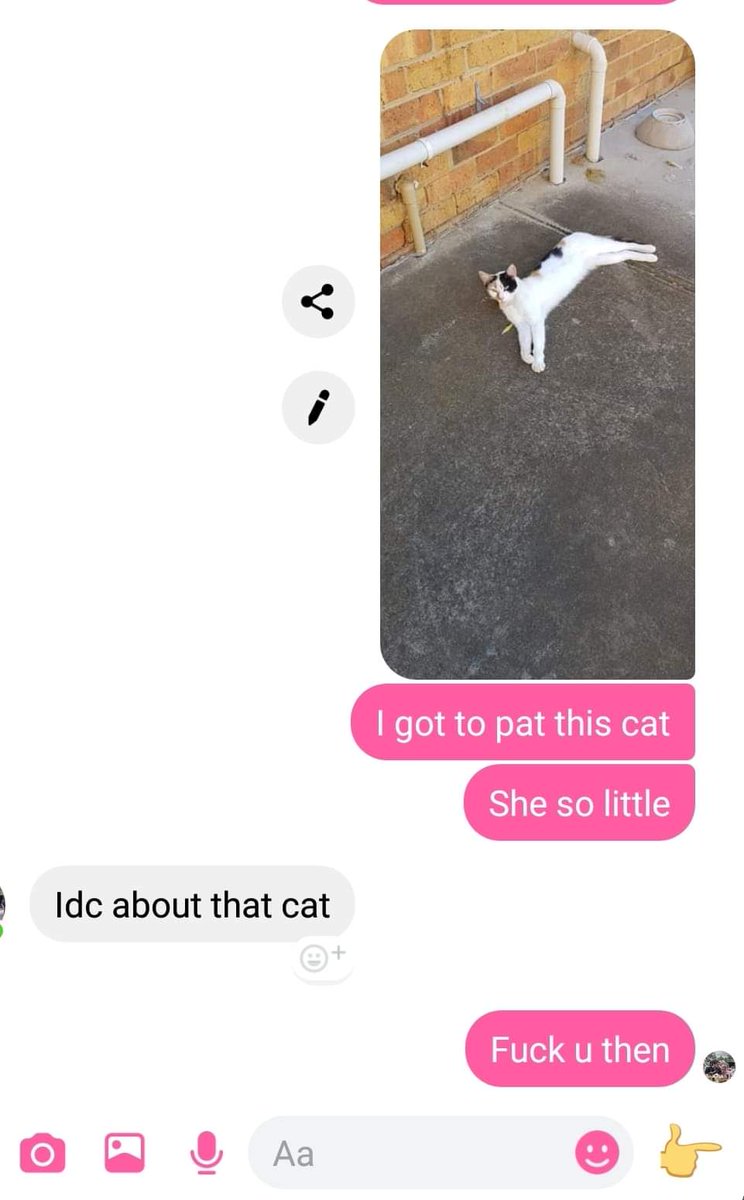CatsOnCatnip's tweet image. Throw the whole man away