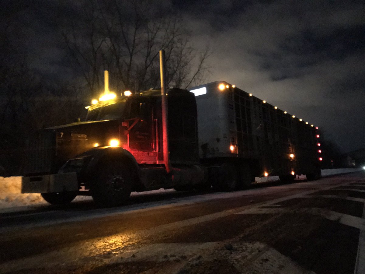 Enoch Riehl (@riehlenoch) on Twitter photo 