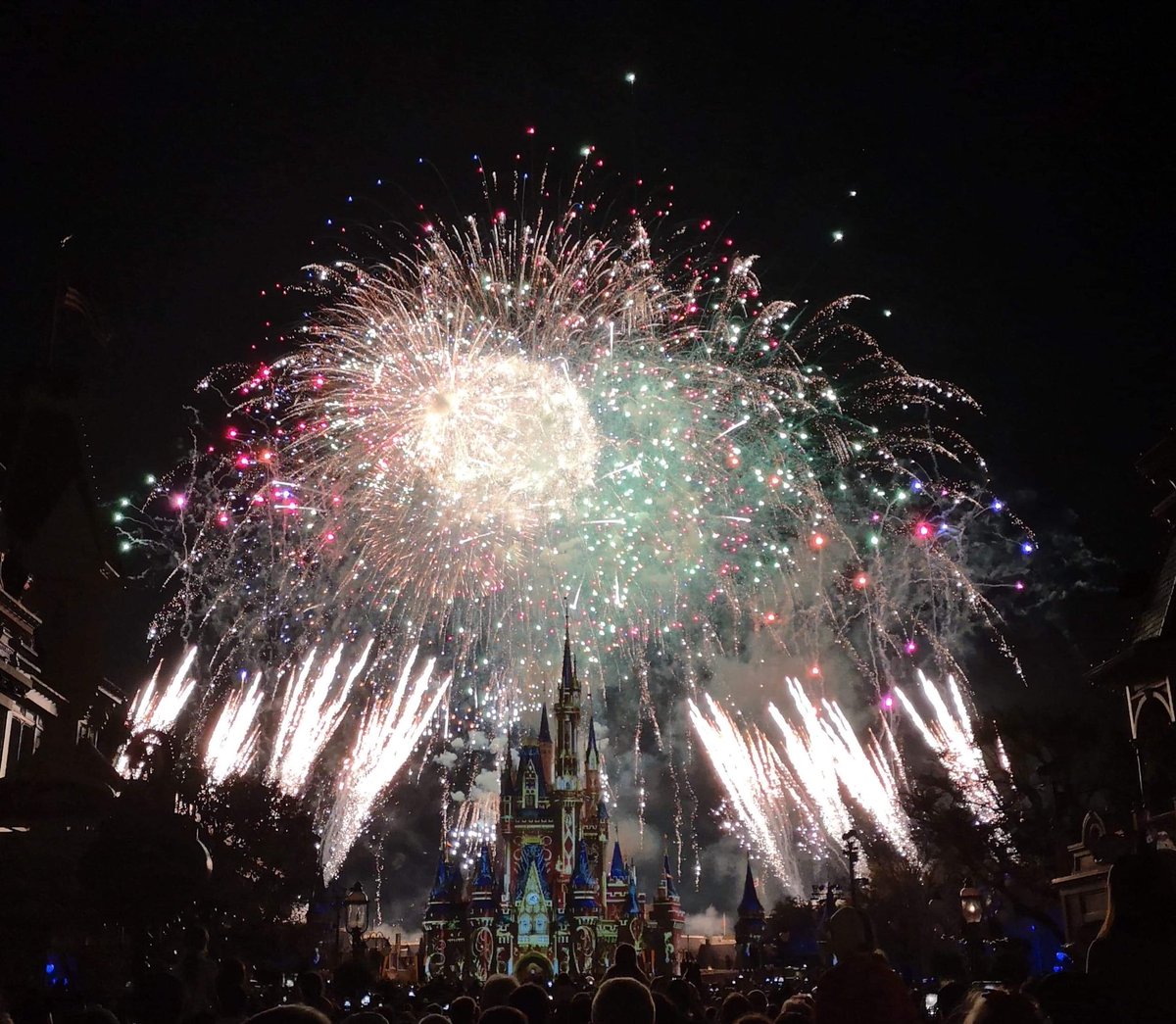 AllandaleVets's tweet photo. Some of our wonderful staff have been enjoying Orlando, FL over the last few days! Traveling here for the Petplan Veterinary Excellence Awards as a nominee for Practice of the Year also included a trip to Disney and the educational experiences of the VMX conference! https://t.co/Ozn8qah5lx