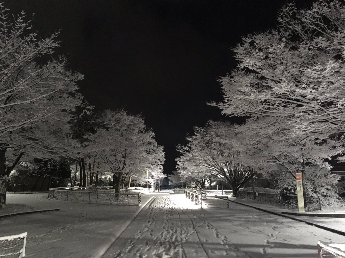 any_hackathon's tweet image. 雪降ったので載せますね
ハッカソンには関係ないです