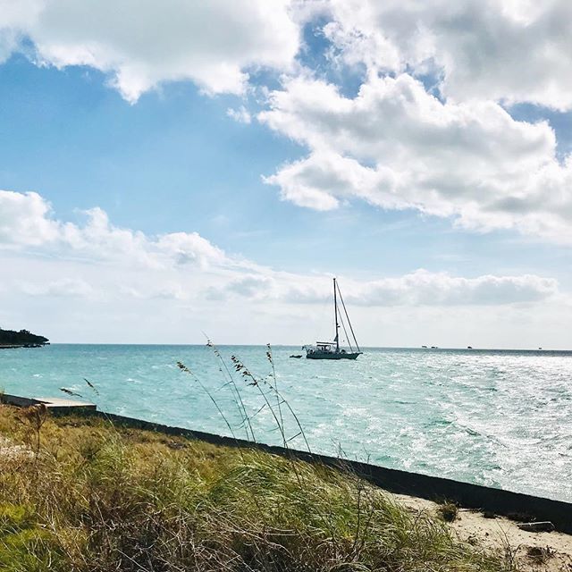 751Meridian's tweet photo. When you can enjoy vacations at the sea #miamiapartments #hotels #vacationrentals #southbeach #apartments #miamibeach #miami #beachlife #beachtime https://t.co/UXtqSSuOoI https://t.co/wXqrrRW3QG