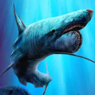 Uzivatel たけやぶ Na Twitteru パラヘリコプリオンという 歯に特徴の有る古代の鮫の仲間ですね 昔は体長30メートル超えのメガロドン以上の化物という説もありましたが 現在は異なる説が有力だそうです