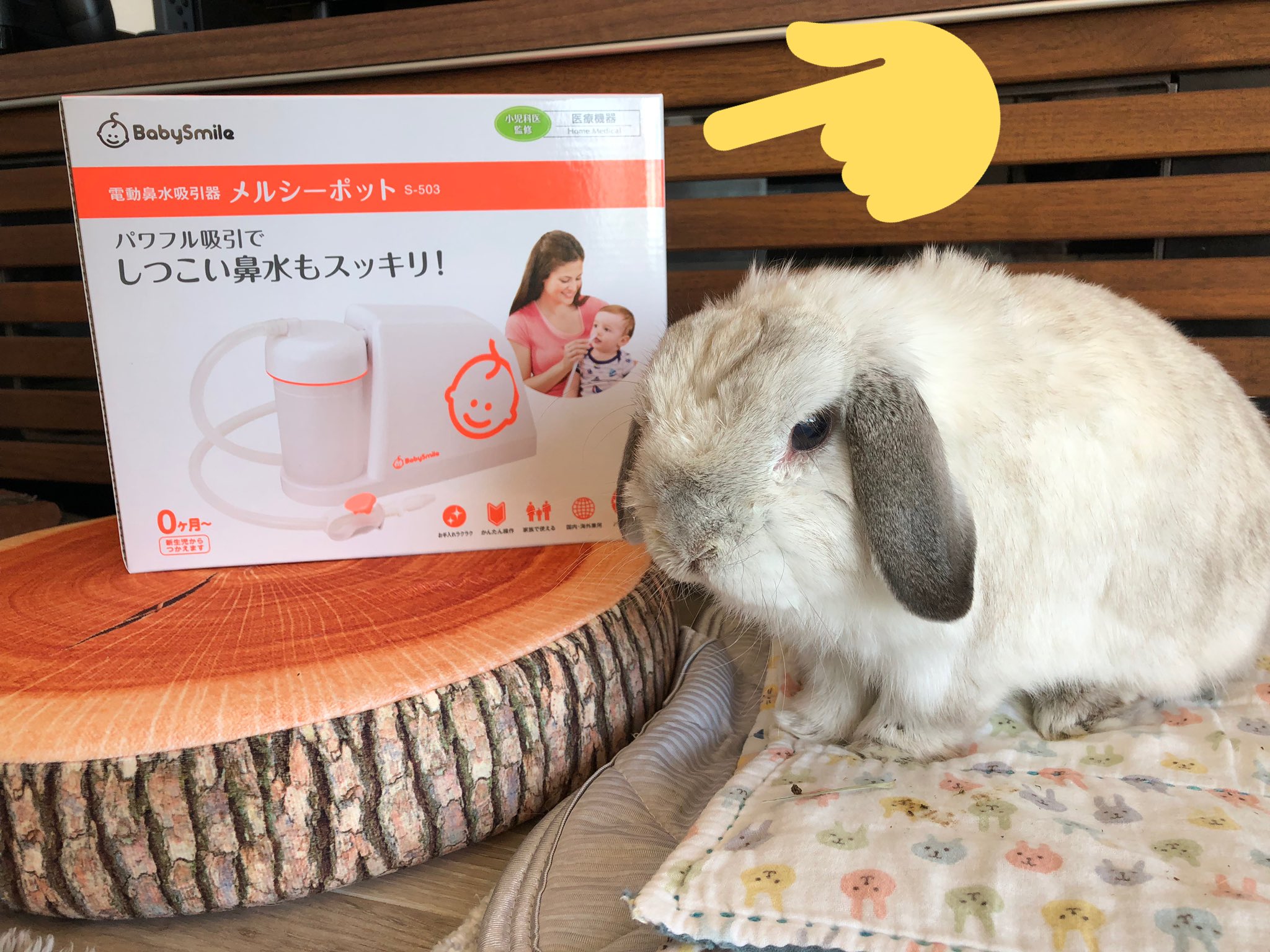 しゃりきちの人 高校時代の友達 Hiya8610から教えてもらった電動鼻水吸引器メルシーポットをうさぎの鼻水 対策に買ってみたら超絶良かったからうさぎのしもべの皆様に全力でおすすめする