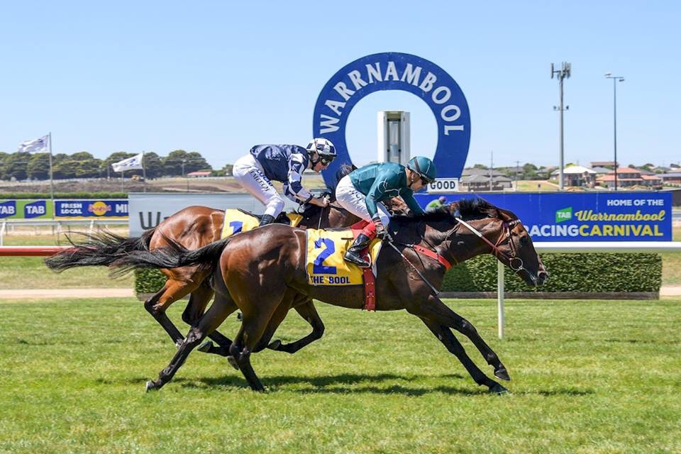Carbine Thoroughbreds (@carbine_racing) on Twitter photo BOOM! A fantastic debut win for our Tavistock first starter BOOMSTOCK @WarrnamboolRC today. Great to team up with <a href="/DKWeirRacing/">Darren Weir Racing</a> for another winner with a horse that looks to have a big staying future <a href="/CambridgeStud/">Cambridge Stud</a> <a href="/KarakaChat/">New Zealand Bloodstock</a> 💥 💥 💥 BOOM! A fantastic debut win for our Tavistock first starter BOOMSTOCK @WarrnamboolRC today. Great to team up with <a href="/DKWeirRacing/">Darren Weir Racing</a> for another winner with a horse that looks to have a big staying future <a href="/CambridgeStud/">Cambridge Stud</a> <a href="/KarakaChat/">New Zealand Bloodstock</a> 💥 💥 💥