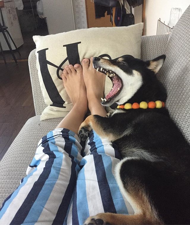 [圖]
