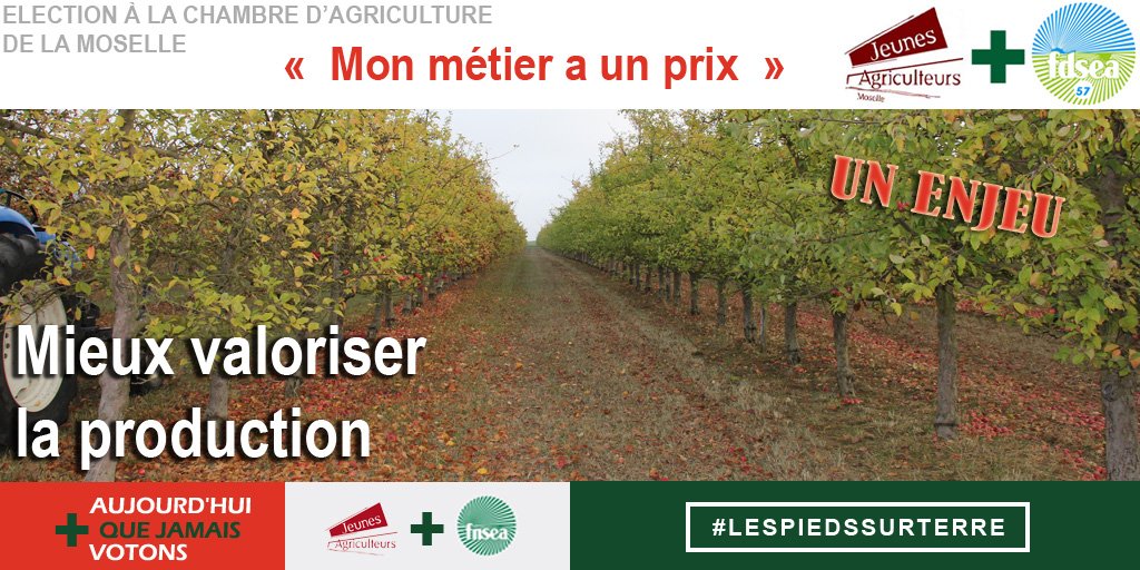 FDSEA57's tweet image. Dans un contexte de forte pression foncière et de nouvelles demandes des consommateurs en approvisionnement local, nous défendrons l’essor d’une production maraîchère et arboricole.