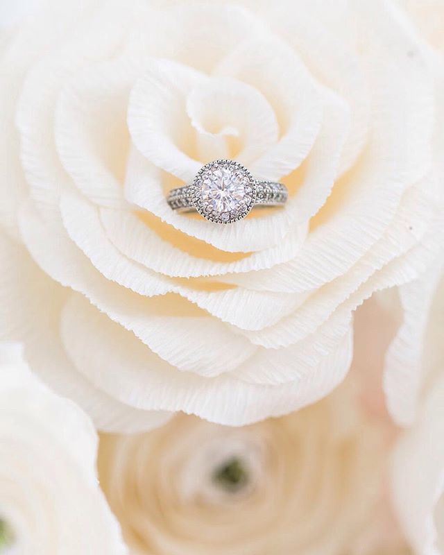 PaperSwallowEve's tweet photo. Paper flowers make the perfect compliment to to all of your wedding details. 😍⠀
⠀
Photographer - @alexismoorephotography 
Stylist &amp; Lead Coordinator - @gracepaulphotography⠀
Co-Coordinator - @paperswallowevents⠀
Jewelry -  @premierjewelrywithbecky ⠀
Paper Florals - Me!/@… https://t.co/KPJQU807t5