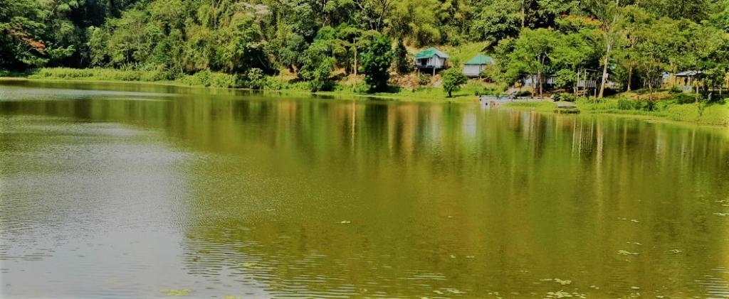 journeyplanner_'s tweet photo. Tam Dil was one of the lakes present in the state of Mizoram. Click this link for more information https://t.co/gcrhVRgVXK #Tamdillake #saitual #Mizoramtourism #Northeastindia #Journeyplannerdotin #Touristinindia #Incredibleindia https://t.co/HCMkdFym94