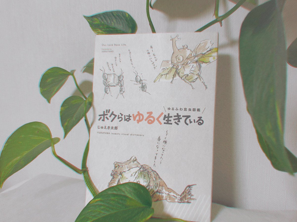 上子供 癒さ れる 話 かわいい子供たちの画像