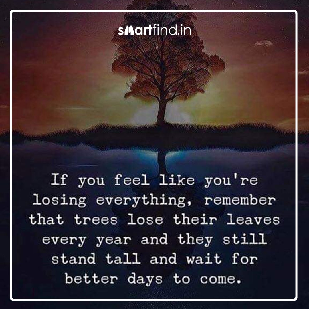 SmartFindApp's tweet photo. If you feel like you are loosing everything,remember that trees loose their leaves every year and they still stand tall and wait for better days to come..
#TuesdayThoughts #PositiveVibes #TuesdayMorning  #SmartFind #GetSmart https://t.co/FOeKMFiq93