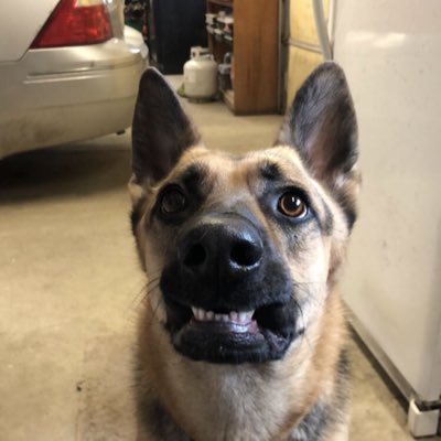 Jethro_54's tweet photo. #NewProfilePic https://t.co/jmagiwU5Rx