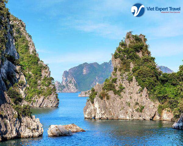 CustomizedTour's tweet photo. Fancy Halong bay cruise this year?
We’ve got a new cruise La Regina and less touristy route at Lan Ha Bay.
There’s just so much to see on this one!
#vietexperttravel #luxurycruise #newroute #lanhabay #halongbay https://t.co/Xo7o05PIaU