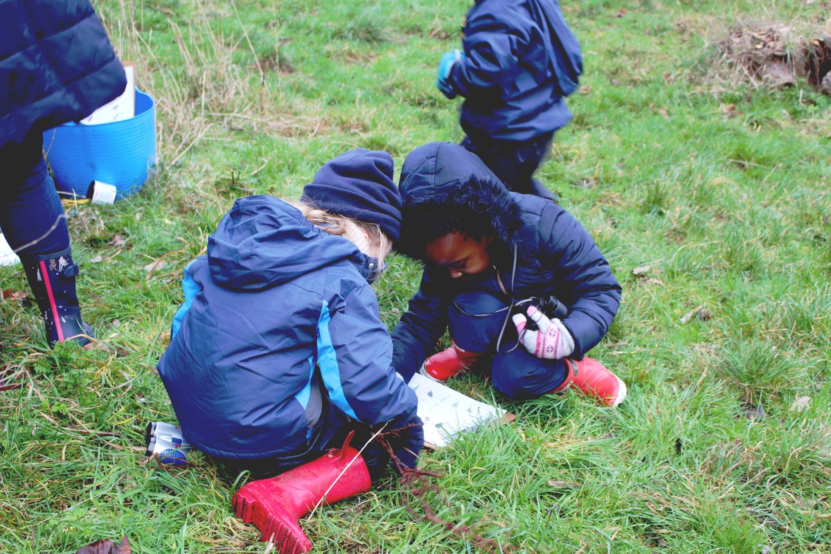 LboroAmherst's tweet photo. In Forest School, the Pre-Prep children have been busy helping birds and looking for them. The Prep children are planning on joining in the fun by taking part in the RSPB challenge โ more information to follow. #RSPBChallenge #ForestSchool #Amherst https://t.co/kl9z8RdKCQ