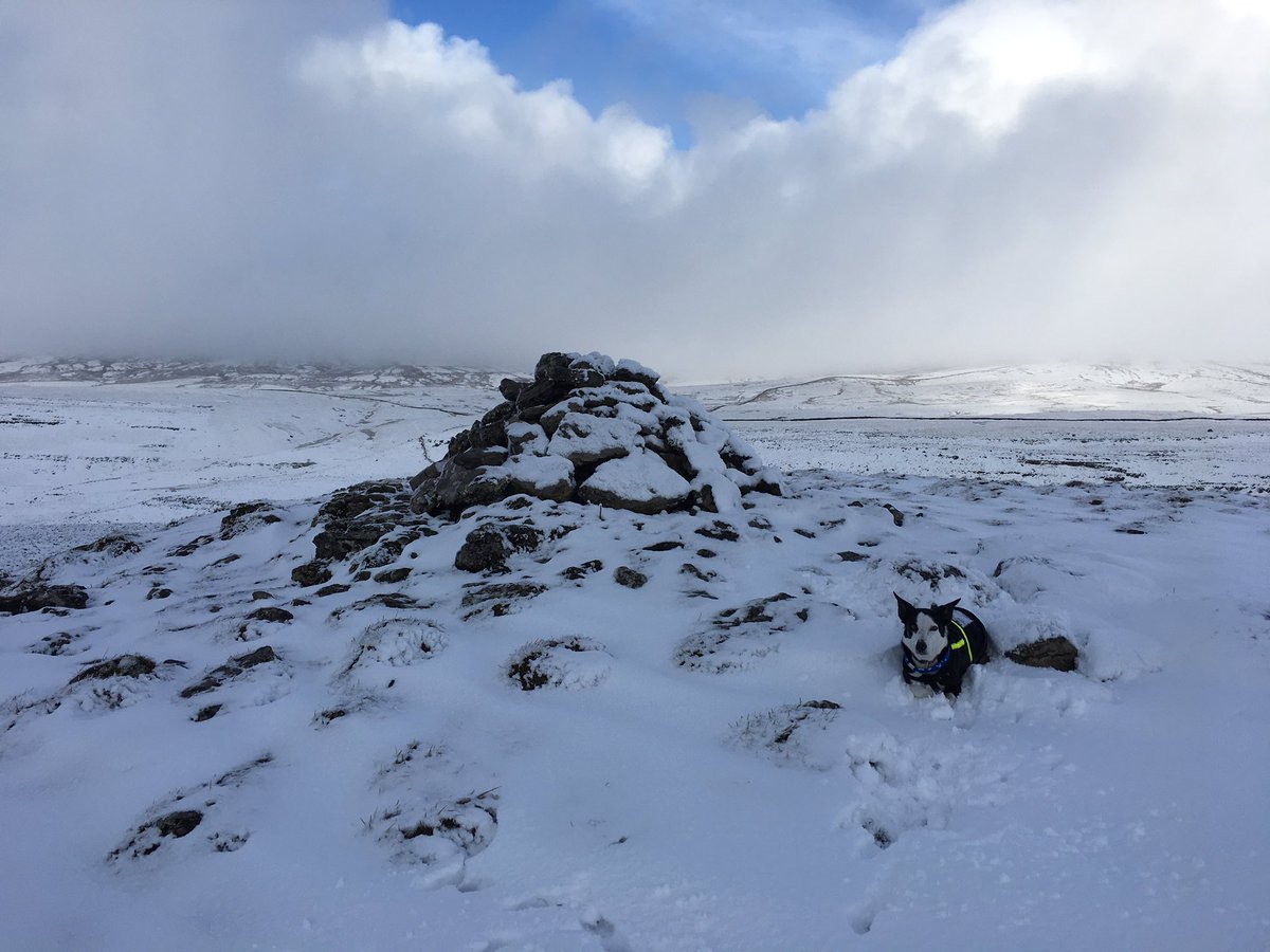 More running in the snoooooow ❄️ 🐾