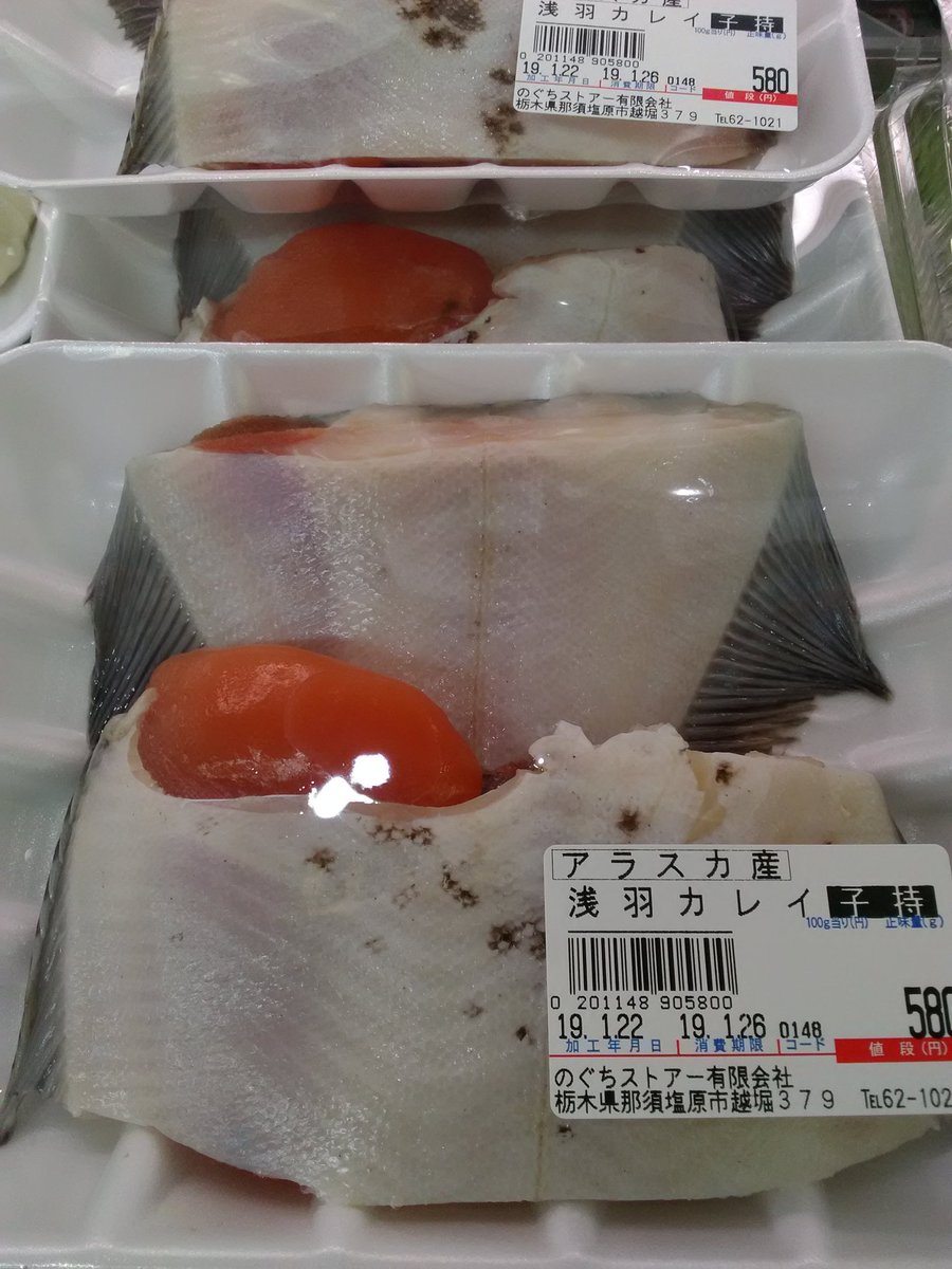のぐちストアー على تويتر アラスカ産浅羽カレイ販売中です ちなみに子持ちです 浅羽カレイ 子持ち のぐちストアー