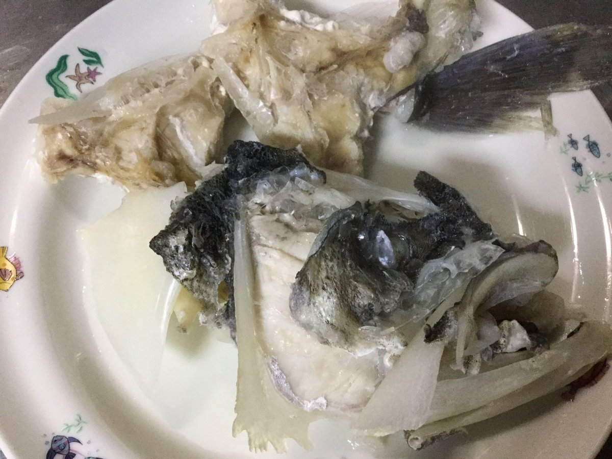 小さな車大きな未来