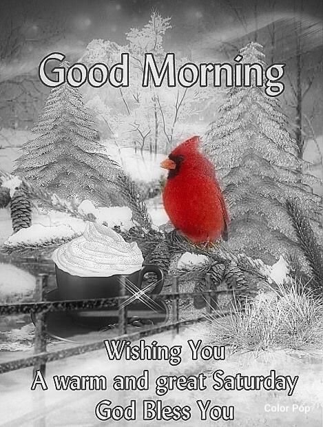 1Amberk's tweet photo. @ranigill7 Good Morning https://t.co/QuJn3AmumE