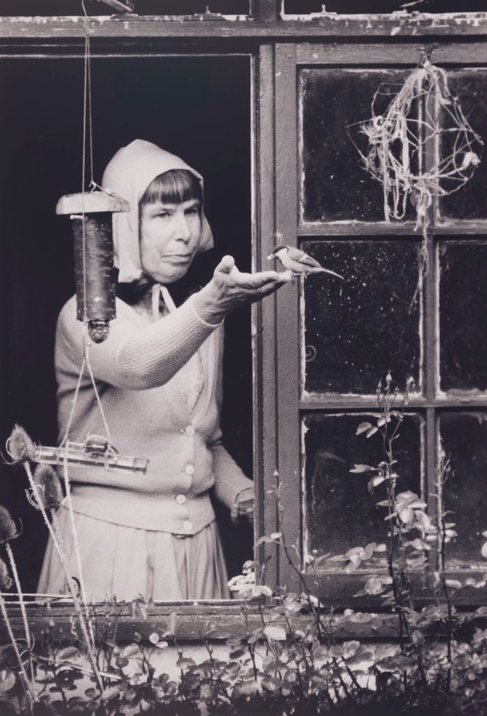 rapsodiafestiva's tweet photo. Gwendolen [Len] Howard (1894-1973) 
British naturalist and musician, writer

Birds as individuals, 1952   |   Living with birds, 1956

📷https://t.co/Xe2M4UaS30 | #instahu https://t.co/qNQoLxlZES