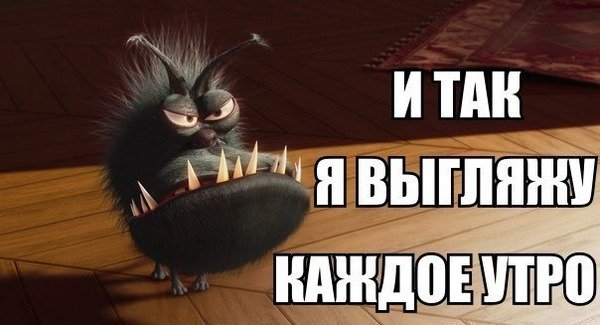 Смешные картинки я так выгляжу с утра