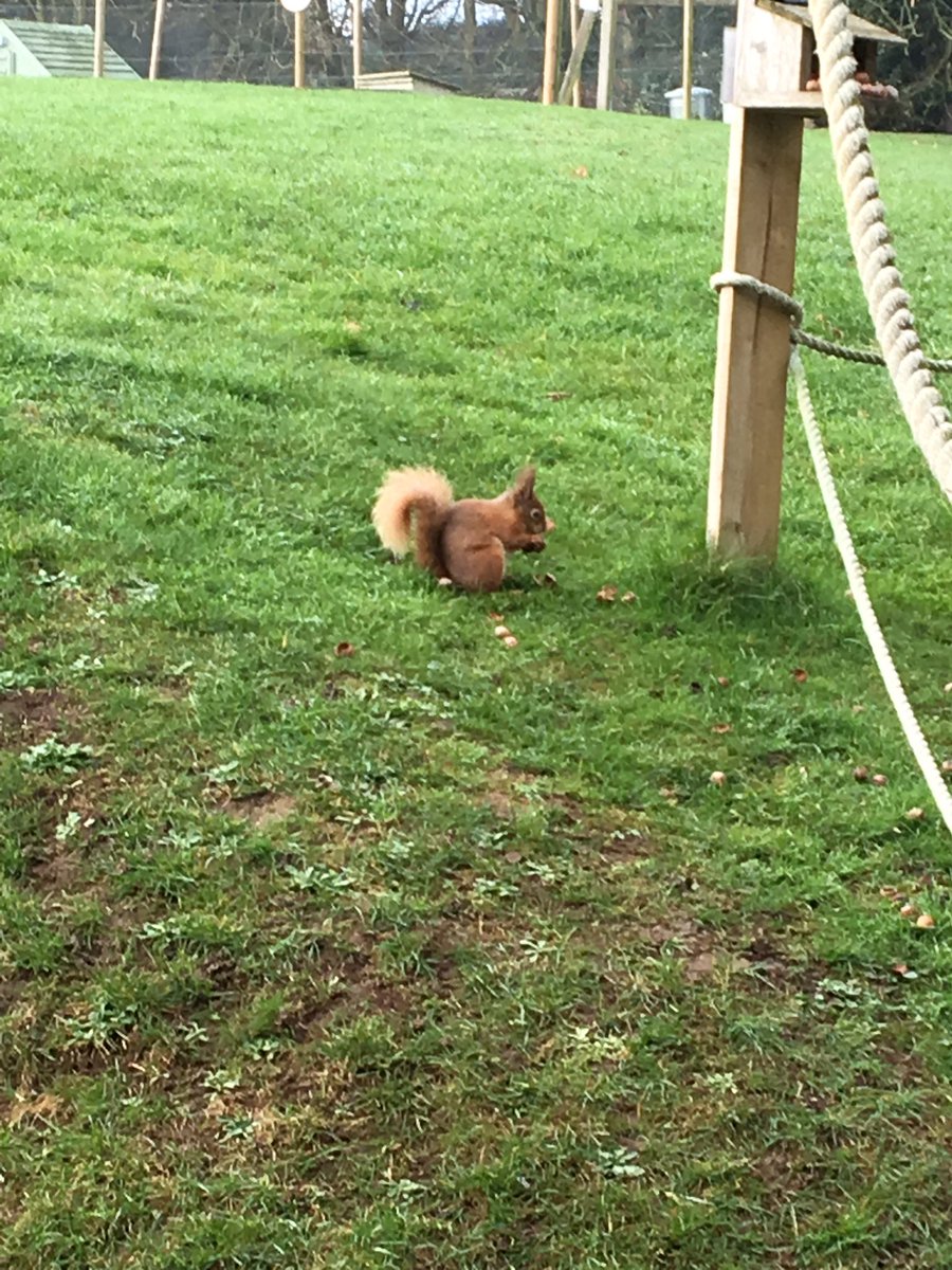 Ann Breeds tweet media