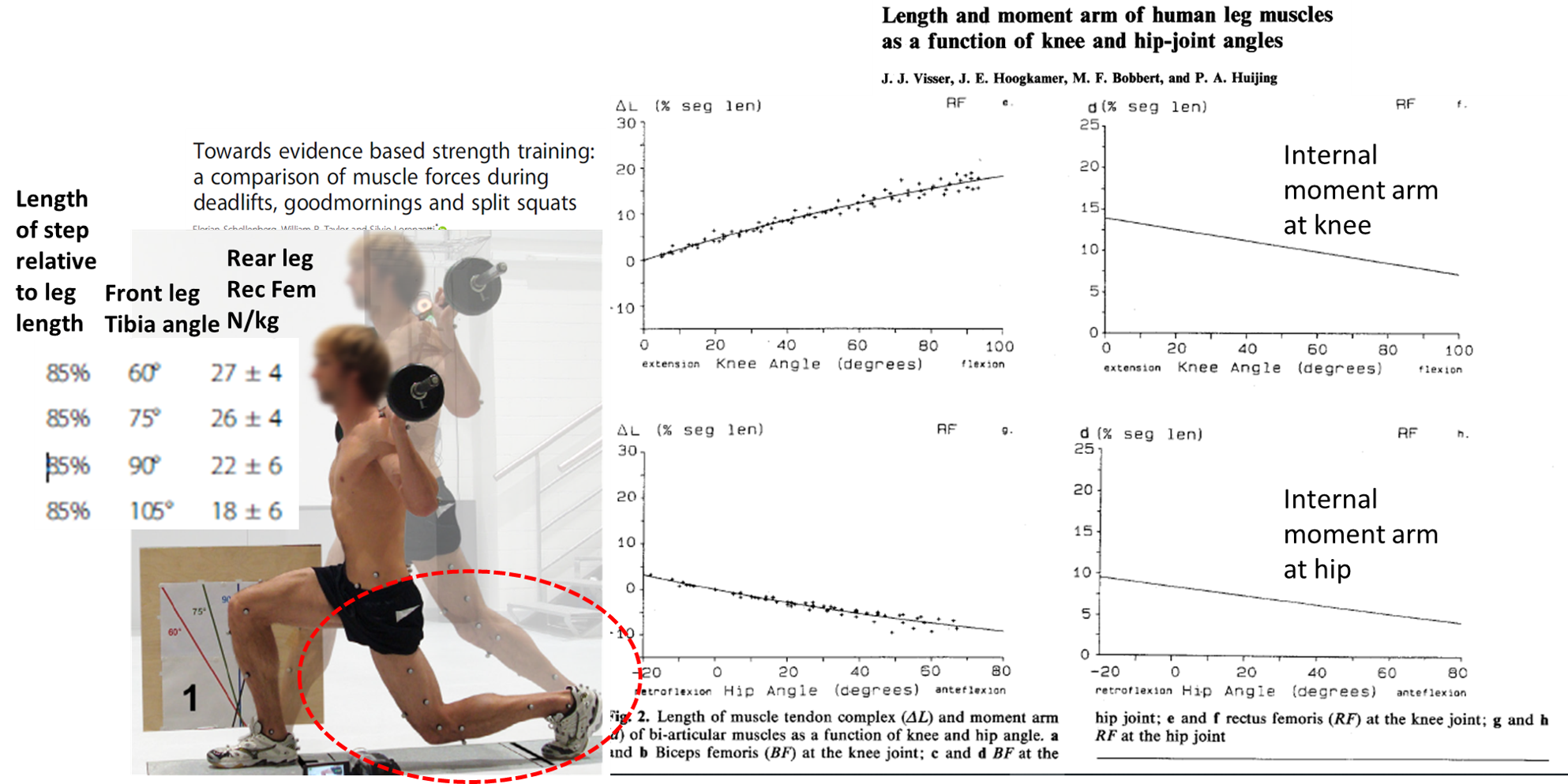 Johan Lahti Twitterren 1 2 Different Split Squats Many S C S Involved In Sprinting Love Them And Swear By Their Success Im Starting To Wonder If One Reason For Their Transfer Is The Supposedly
