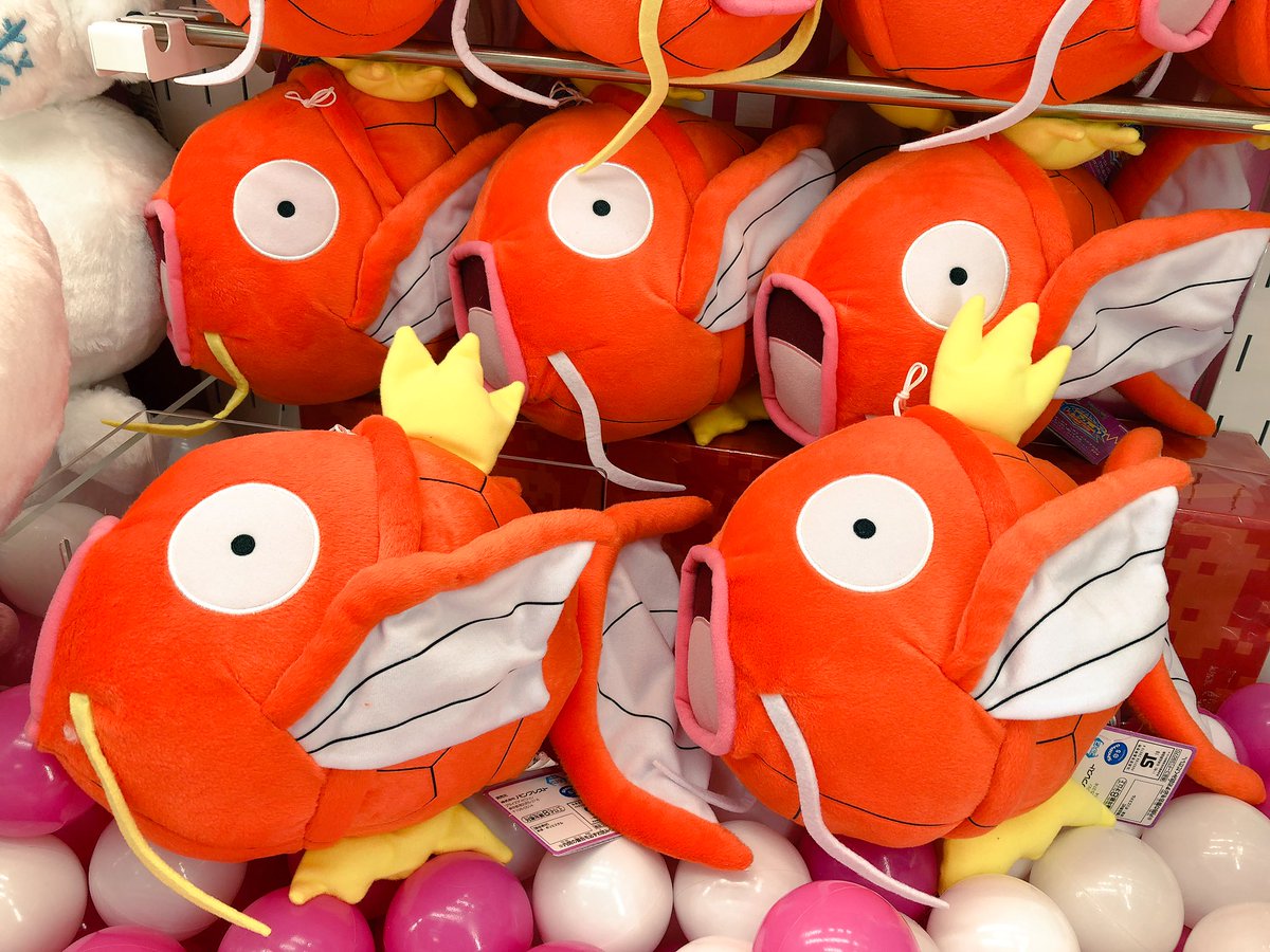 タイステ小田原店 ガチャステopen プライズ ポケモンフォーカス オス メスのすがた でっかいぬいぐるみ コイキング オス コイキング メス が入荷致しましたヾ ๑ ノ ぜひオス メス揃えて違いを探してみてくださいね ヒントは髭 T タイステ小田原店 ガチャステopen プライズ ポケモンフォーカス オス メスのすがた でっかいぬいぐるみ コイキング オス コイキング メス が入荷致しましたヾ ๑ ノ ぜひオス メス揃えて違いを探してみてくださいね ヒントは髭 T
