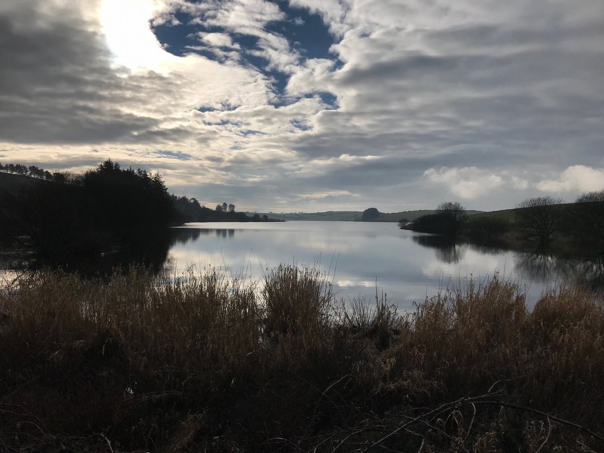 AltarnunCott's tweet photo. #Siblyback lake #Cornwall - often overlooked beauty spot. @ILoveCornwallUK @BBCCornwall @CornwallLifeMag @CornwallLifeMag. 20 mins drive from #hillcottage and perfect #dog walking. https://t.co/jvtkJS9RkD