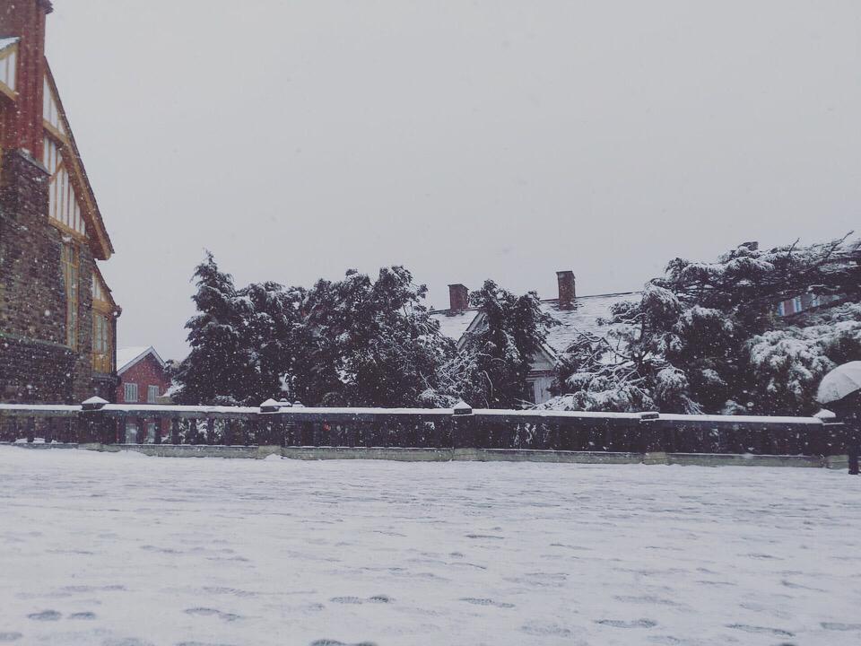 Himachal Tourism On Twitter Snowfall In Himachal Pradesh Tourists Treated To A White Blanket In Shimla Manali Dalhousie Kufri Shimla Travel Snowfall Manali Kullu Solan Dharamshala Mandi Kangra Officialhimachal Unforgettablehimachal