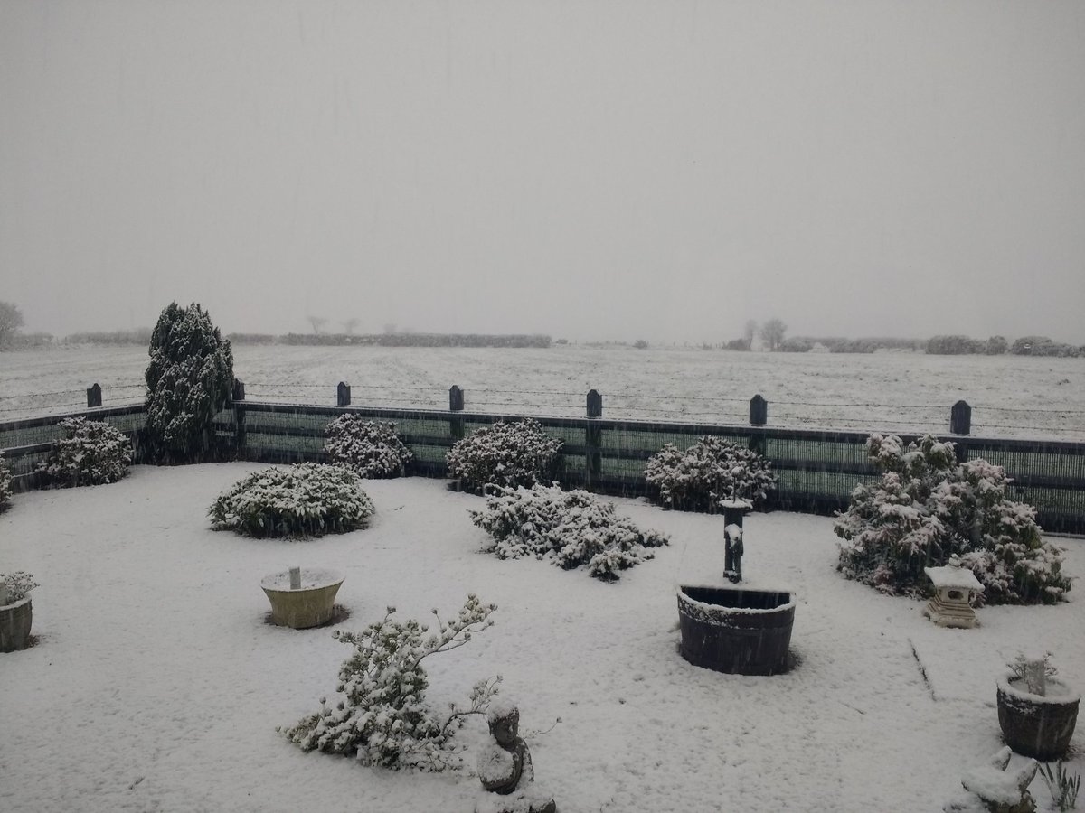 That'll be snow then, Coed y Bryn, Ceredigion. Not going far today! <a href="/DerekTheWeather/">Derek Brockway - weatherman</a>