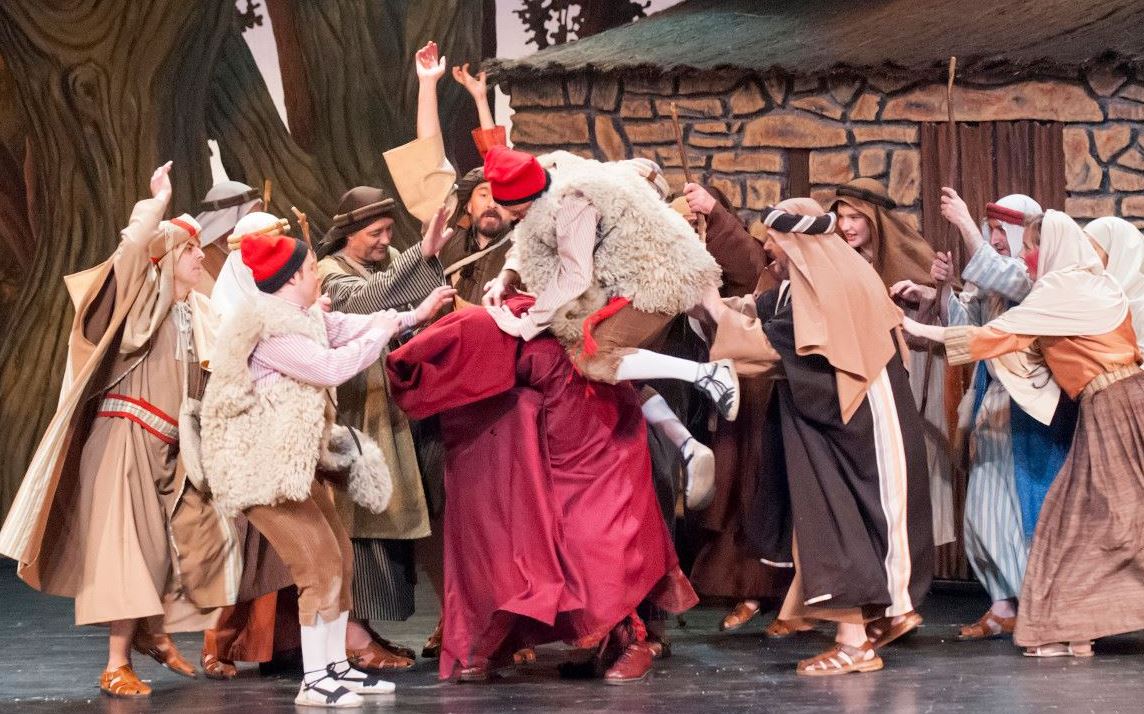 Pastorets de Calaf tweet media