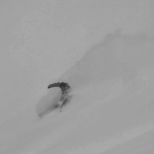 OGACCH's tweet photo. #imagine #powder #snowboarding #Mar. #BC #libtech #monasheepowder #TW https://t.co/BM8efqicKG