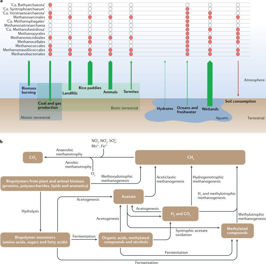 the derivation of anaphoric relations