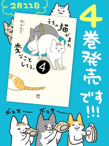 うち の 猫 が また 変 な こと し てる