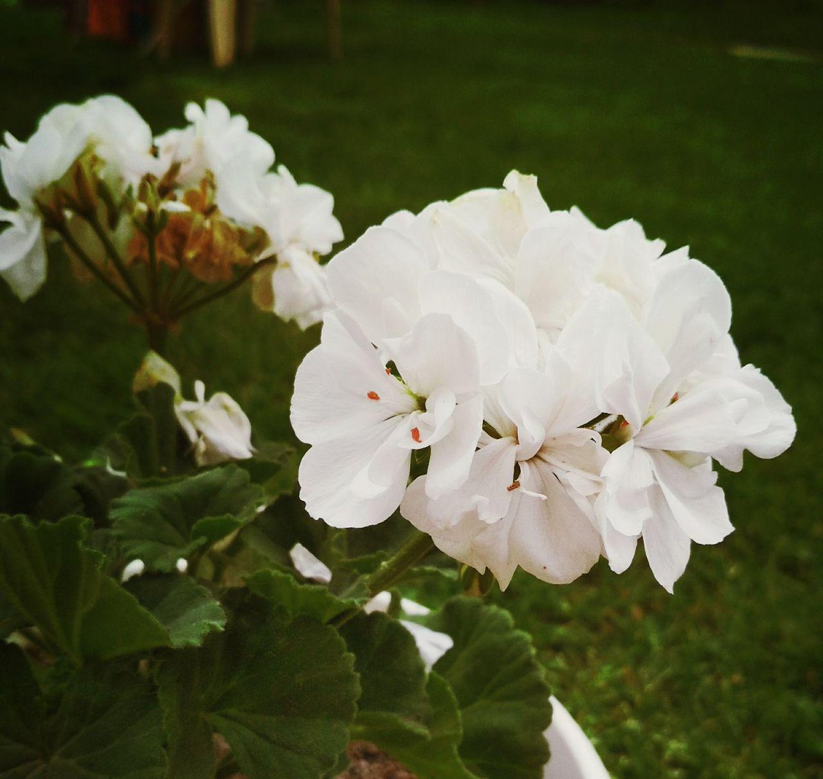 EnthomPhotos's tweet image. BTC ( Bitcoin ) Donation 👉 17fuLzQoGTWtSXLDkbLm1VMPJZMN5RE9yt 👈 🙂  Free download / PMessage to me  🎁 Follow me + Retweet = I Follow Back  🎁  /K20